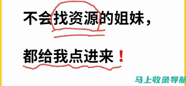 玩转搜索引擎优化：揭开搜索SEO的含义及实际操作指南